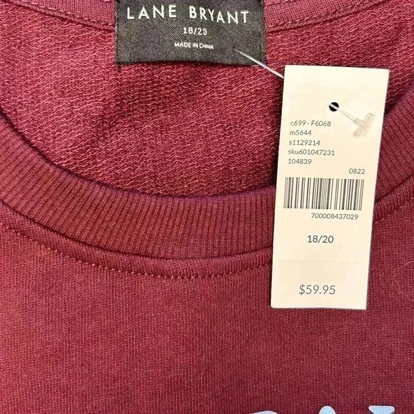 Lane Bryant Classic Long-Sleeve Crew-Neck Fall Graphic Sweatshirt Size 2X NWT - Picture 3 of 6